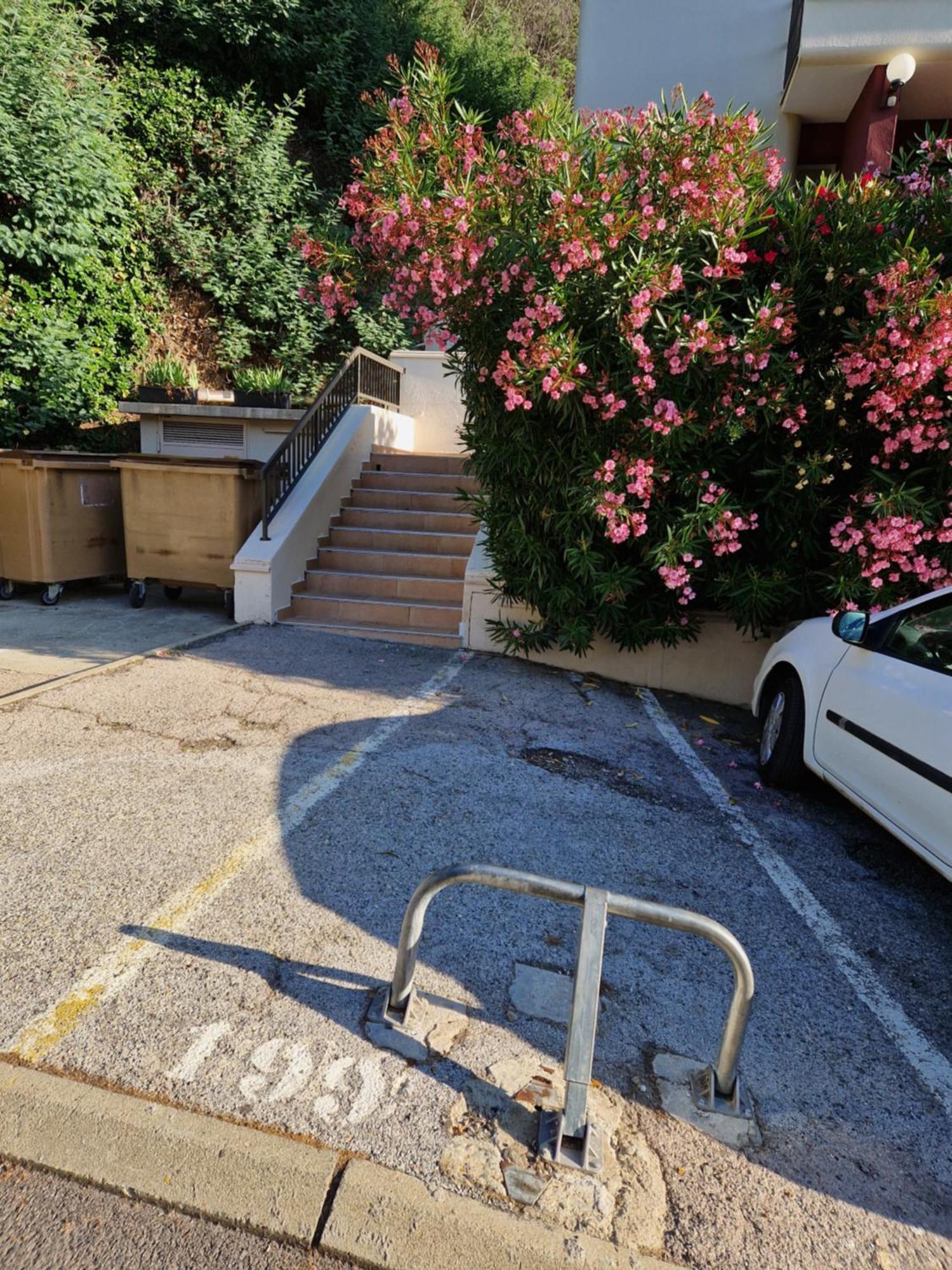 Appartement Amelie Les Bains Au Pied Des Thermes Εξωτερικό φωτογραφία
